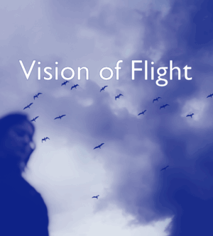 Vision of Flight