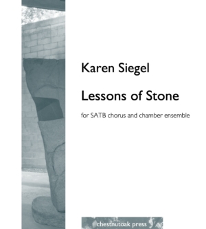 Lessons of Stone (with chamber ensemble)